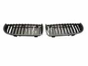 Kühlergrill Grill Frontgrill rechts und links BMW 3 TOURING E91 318D 90 KW 7120008 7120007