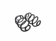 Federnsatz Hinterachse RENAULT CLIO III (BR0/1, CR0/1) 1.2 16V 55 KW RH6424