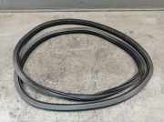 Dichtung Türrahmen Einstieg vorne rechts VW POLO (6C1, 6R1) 1.4 63 KW 6R4867912