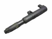 Zündspule RENAULT MEGANE II (BM0/1_, CM0/1_) 2.0 RENAULT S 165 KW 8200208611