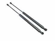 Heckklappendämpfer Set 2-teilig RENAULT TWINGO III (BCM) 1.0 SCE 70 51 KW 904518604R