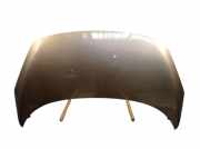 Motorhaube Haube Braun TEHNP RENAULT SCENIC III (JZ0/1) 1.2 TCE 85 KW