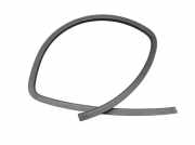 Dichtung Türrahmen Einstieg links hinten KIA PICANTO (SA) 1.1 48 KW