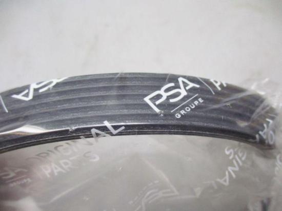 Keilrippenriemen 6PK800 PSA Citroen Peugeot OU 9804491580 Bild Keilrippenriemen 6PK800 PSA Citroen Peugeot OU 9804491580