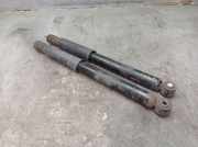 Stoßdämpfersatz Hinterachse RENAULT CLIO III (BR0/1, CR0/1) 1.6 16V 65 KW 8200556691