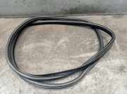 Dichtung Türrahmen Einstieg links hinten LAND ROVER DISCOVERY III L319 2.7 TD 4X4 140 KW 4H22214A88AD