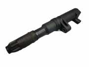 Zündspule RENAULT SCENIC I JA0 1.6 16V 79 KW 0040100052