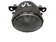 Nebelscheinwerfer links vorn RENAULT MEGANE III SCHRÄGHECK (BZ0/1) 1.5 DCI 81 KW 89202503 8200074008