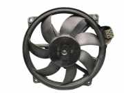 Elektromotor, Kühlerlüfter RENAULT MEGANE III COUPE (DZ0/1_) 1.4 TCE 96 KW 21481241R
