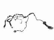 Kabel Tür links hinten RENAULT CAPTUR II E-TECH PLUG-IN HYBRID 160 68 KW 241270933R