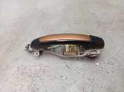 Türgriff Türaussengriff links hinten Reflexsilber LA7W /Braun foliert LA7W PORSCHE CAYENNE 9PA S 4.5 250 KW 7L0839885