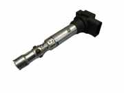 Zündspule VW FOX (5Z_) 1.2 40 KW 0040102059