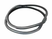 Dichtung Türrahmen Einstieg vorne rechts VW POLO (6C1, 6R1) 1.6 TDI 66 KW 6R4867912