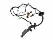 Kabel Tür rechts hinten VW TIGUAN II 5NA 2.0 TDI 110 KW 5NA971694K