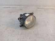Nebelscheinwerfer rechts RENAULT GRAND SCÉNIC II (JM0/1) 2.0 99 KW 89210094 8200074008