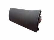 Handschuhfach SKODA FABIA II COMBI (545) 1.6 TDI 77 KW 5J1857096B