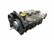 Zylinderkopf RENAULT CLIO III (BR0/1, CR0/1) 1.6 16V 65 KW 8200145259F