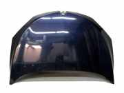 Motorhaube Haube SAN 913 Vert Laitue RENAULT MEGANE III SCHRÄGHECK (BZ0_) 1.6 16V 81 KW