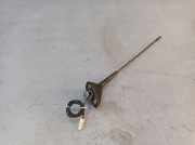 Antenne Dach Dachantenne RENAULT ZOE BFM 68 KW