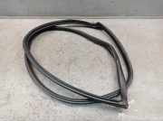 Dichtung Türrahmen Einstieg vorne links MINI MINI (R50, R53) COOPER S 120 KW 7039863