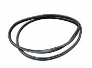 Dichtung Türrahmen Einstieg vorne links RENAULT GRAND SCÉNIC III (JZ0/1) 1.9 DCI 96 KW