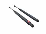 Gasfeder, Motorhaube Set 2-teilig MERCEDES R-KLASSE V251, W251 R 320 CDI 4MATIC L 165 KW A2518800229