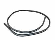 Dichtung Türrahmen Einstieg vorne links BMW X1 (E84) SDRIVE18D 105 KW 2990833