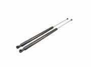 Heckklappendämpfer Set 2-teilig PEUGEOT 207 CC (WD) 1.6 16V 88 KW 9686030580