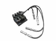 Zündspule Zündkabel VW TOURAN (1T1, 1T2) 2.0 ECOFUEL 80 KW 06A905097A