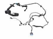 Kabel Tür vorne rechts RENAULT CAPTUR II E-TECH PLUG-IN HYBRID 160 68 KW 241246491R