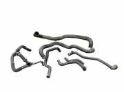 Kühlerschlauch Set 6-teilig RENAULT SCENIC III (JZ0/1) 1.2 TCE 85 KW 110606037R