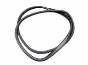 Dichtung Türrahmen Einstieg vorne rechts RENAULT GRAND SCÉNIC III (JZ0/1) 1.9 DCI 96 KW