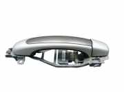 Türgriff Türaussengriff links hinten Meteorgrau LM7W PORSCHE CAYENNE (9PA) S 4.8 283 KW 7L0839885B