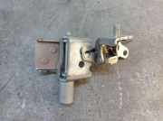 Türscharnier rechts hinten Set 2-teilig Beige HNK RENAULT MODUS/GRAND MODUS (F/JP0) 1.2 16V 55 KW
