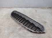 Kühlergrill Grill Frontgrill FORD FIESTA VI (CB1, CCN) 1.5 TDCI 55 KW C1BJ-17B968-AB