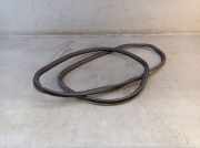 Dichtung Türrahmen Einstieg vorne rechts AUDI A4 (8EC, B7) 2.0 TDI 16V 103 KW 8E0831721D