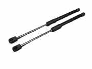 Heckklappendämpfer Set 2 Stück SEAT MII KE1 KF1 1.0 44 KW 1ST827550C