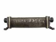 Ladeluftkühler MERCEDES A-KLASSE W168 A 170 CDI 70 KW 1685000000