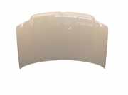 Motorhaube Haube Gelb 541 FIAT PANDA 169 1.2 44 KW