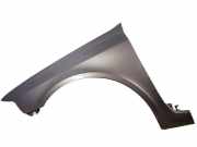 Kotflügel links NV603 Vulkangrau RENAULT LAGUNA II (BG0/1_) 3.0 V6 24V (BG0D) 152 KW