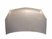 Motorhaube Haube Pannacotta Z167 OPEL ZAFIRA B (A05) 1.8 103 KW