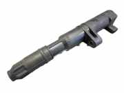 Zündspule RENAULT MEGANE II 2 CABRIO EM0/1 1,6 83 KW 8200208611