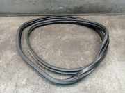 Dichtung Türrahmen Einstieg links hinten CITROEN C3 PICASSO 1.6 VTI 120 88 KW 9687191980