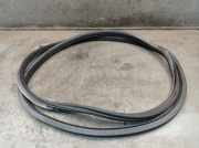 Dichtung Türrahmen Einstieg vorne links VW UP! (121, 122, 123, BL1, BL2, BL3) 1.0 44 KW 1S3867911D