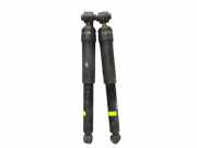 Stoßdämpfer hinten Set RENAULT LAGUNA III GRANDTOUR (KT0/1) 2.0 DCI 127 KW 562100007R