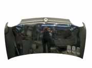 Motorhaube Haube Schwarz OV694 RENAULT TWINGO I C06 1.2 16V 55 KW