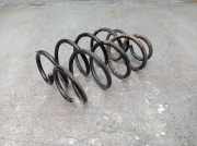 Federnsatz Hinterachse SUZUKI SWIFT V (AZ) 1.2 66 KW