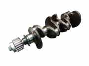 Kurbelwelle K9K 768 RENAULT CLIO III (BR0/1, CR0/1) 1.5 DCI 50 KW