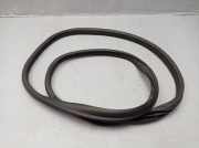 Dichtung Türrahmen Einstieg links hinten SKODA FABIA III (NJ3) 1.0 55 KW 6V6867367H