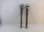 Federbein Stoßdämpfer hinten VW GOLF 7 VII VARIANT (BA5, BV5) 2.0 TDI 110 KW 5Q0513423 5Q0512011NT